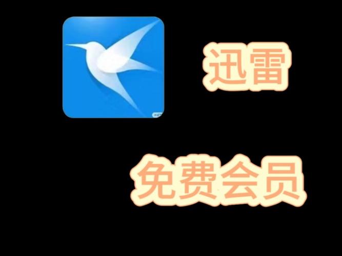 迅雷视频2024最新版永久vip版图标