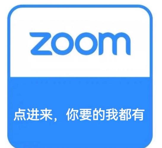 Zoom免费图标
