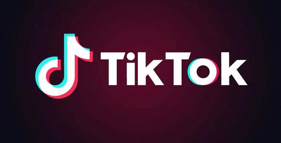 tiktok国际版色板安装包图标