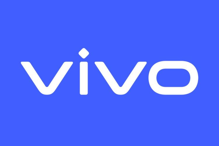 vulkan版本官方vivo无限次数版图标