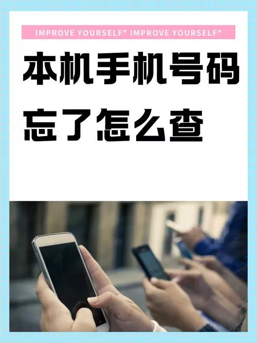 手机号没记住怎么查本机号码