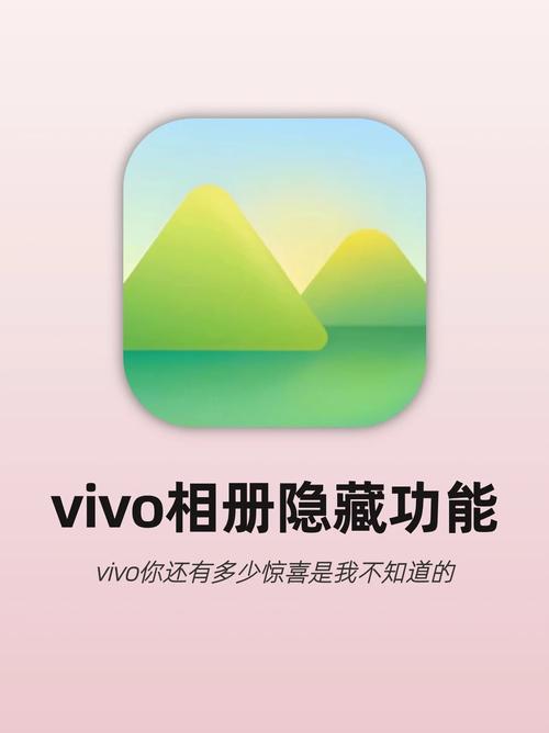 vivo手机相册权限
