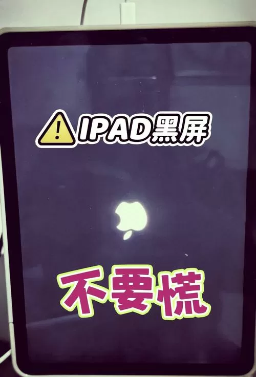 ipad闲置太久开不了机怎么办