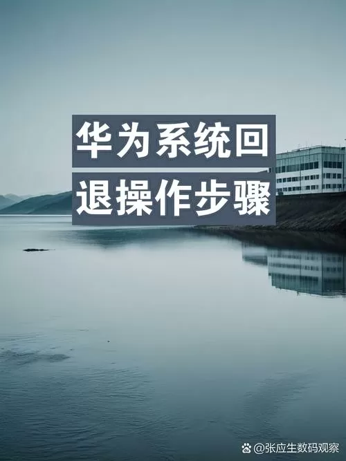 华为如何回退系统版本