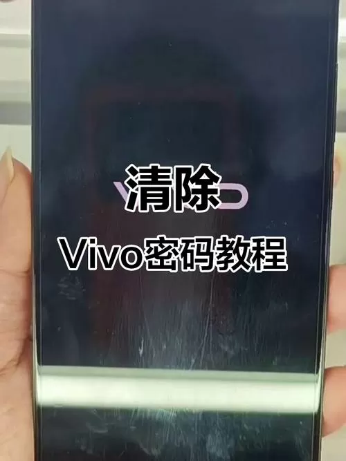 vivo清除所有的数据然后怎么办