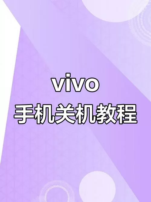 Vivo手机自动关机怎么办截图