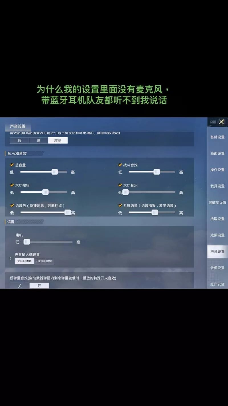 和平精英麦克风设置不见了