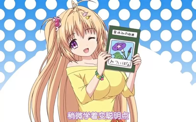 对笨蛋妹妹聪明的人只有我在线观看