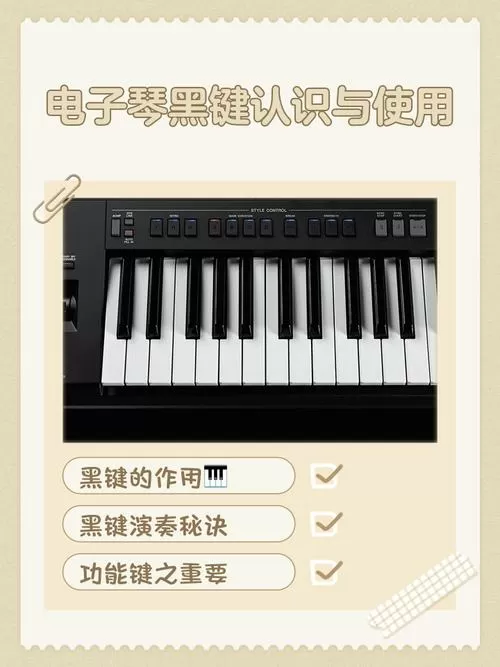 25个黑键是多少键的琴