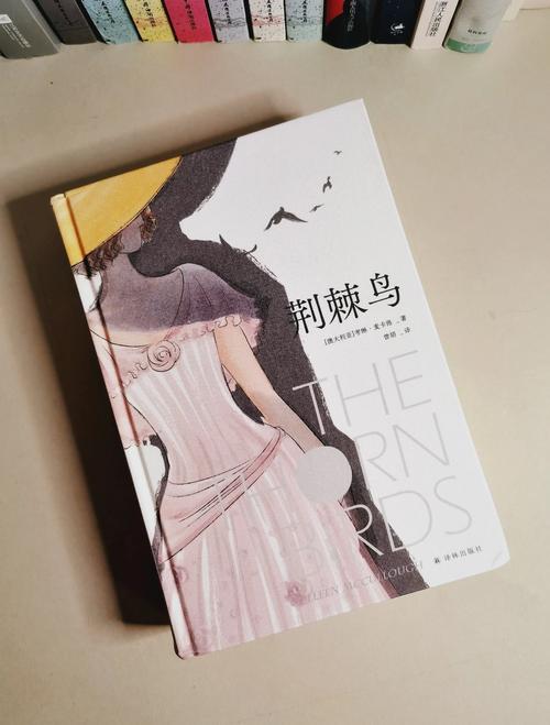 荆棘鸟小说iphoneipad版纯净无广告版