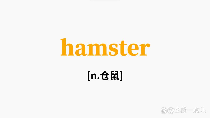 hamster图标