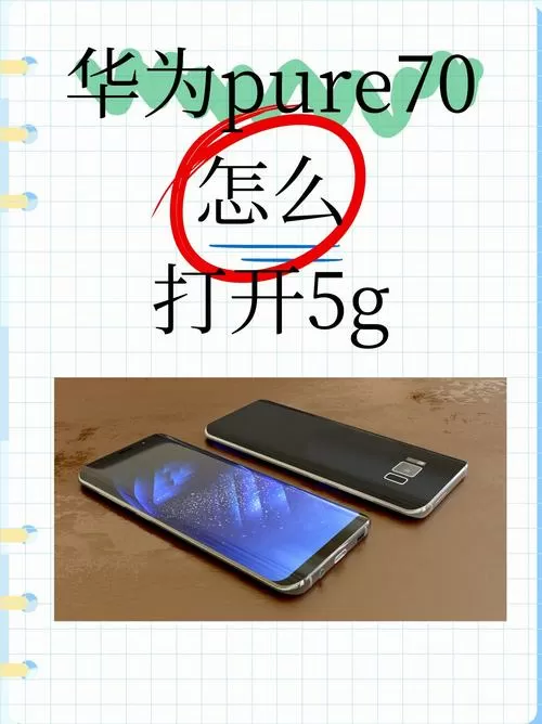 手机5g信号开关在哪