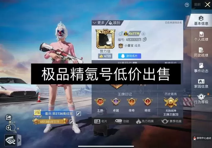 和平精英账号交易平台
