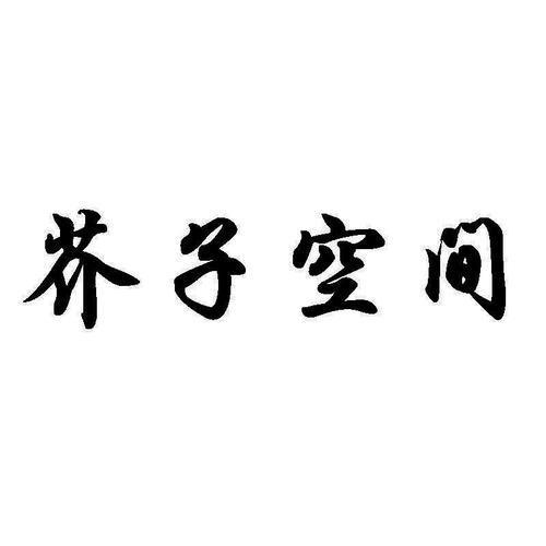 芥子空间手机版