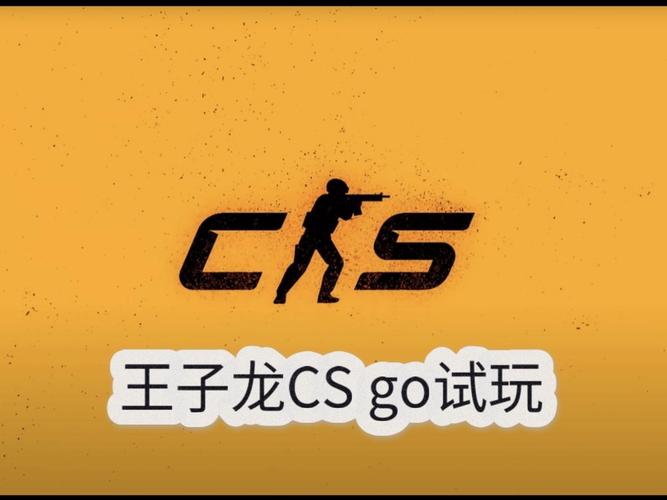 王子龙自制CSGO