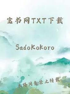 宝书网txt入口