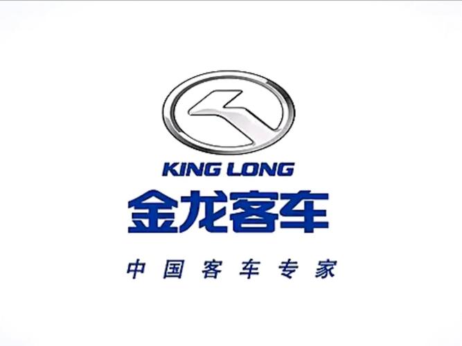 金龙直装无广告纯净版截图