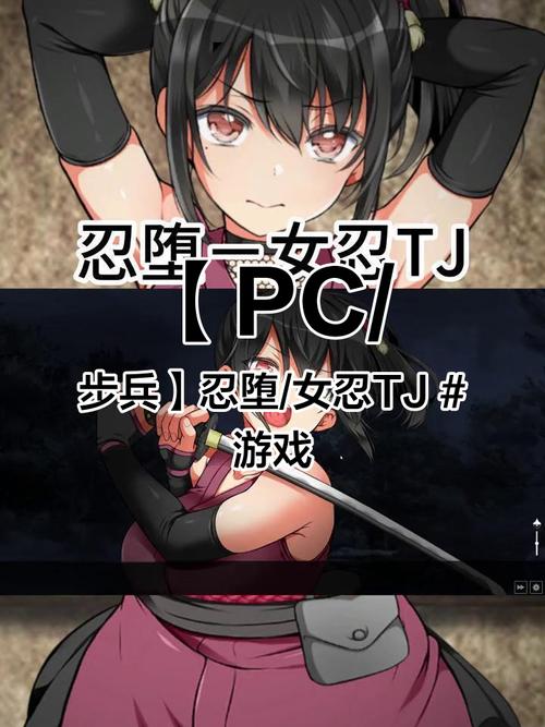忍堕女忍汉化版