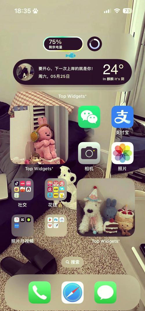 成语赚钱红包版topwidgets小组件截图
