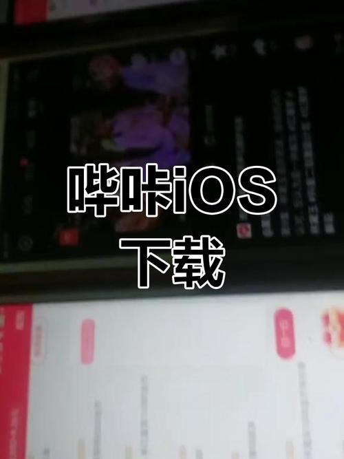 哔咔哔咔ios版安装教程截图