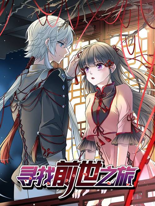 寻找前世之旅正版