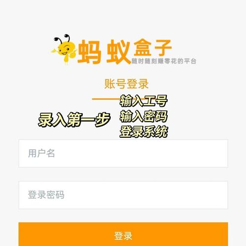 蚂蚁盒子打字录入软件