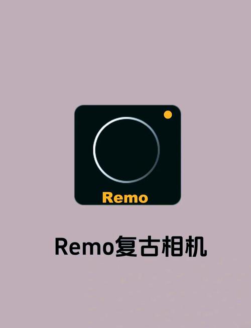 remo相机破解版最新截图