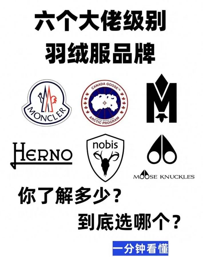 蚂蚁绒属于什么档次