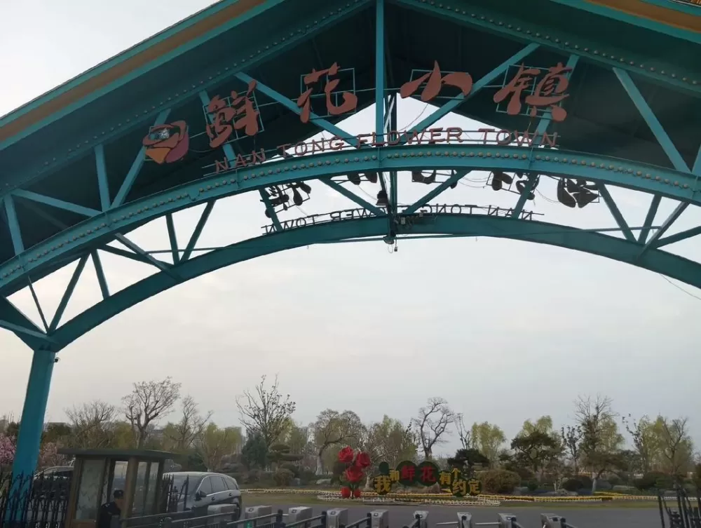 鲜花小镇正版下载