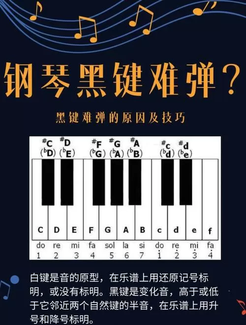 钢琴D调有哪几个黑键截图