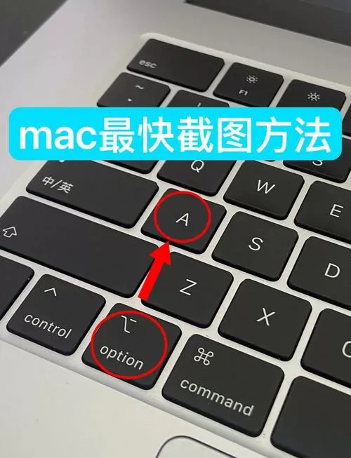 一键截图快捷键
