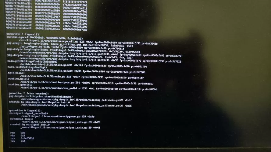 deepin密码正确无法登录