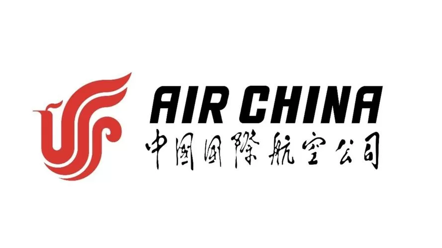 中国国际航空公司官网值机图标