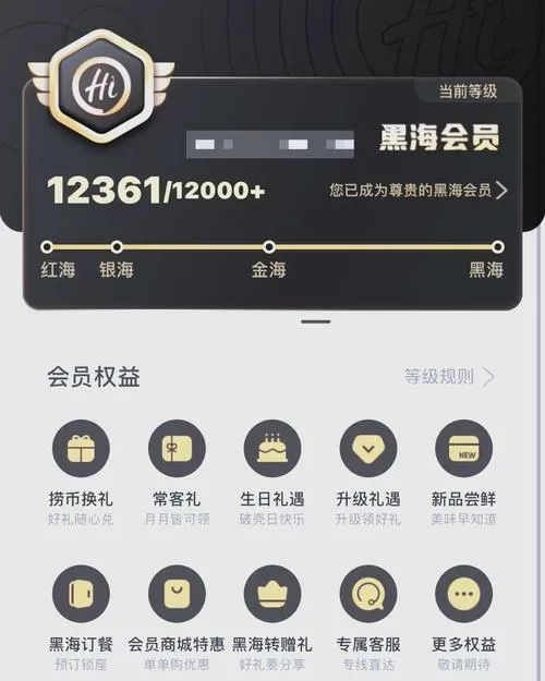 海底捞黑海会员怎么用