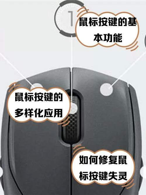 鼠标中键叫什么