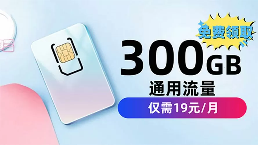 300g流量卡