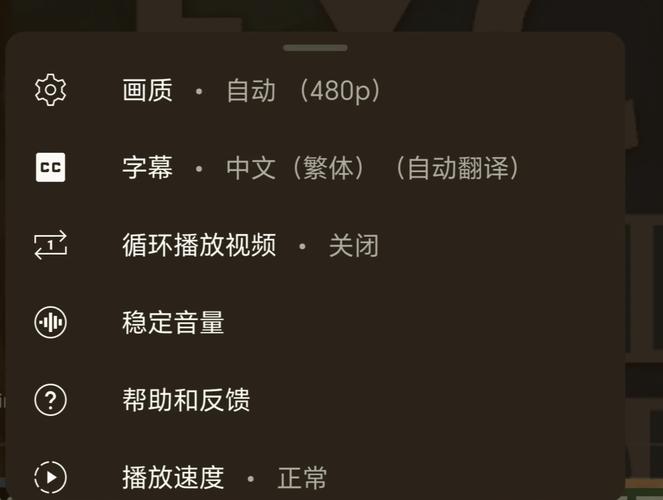 油管字幕怎么翻译成中文