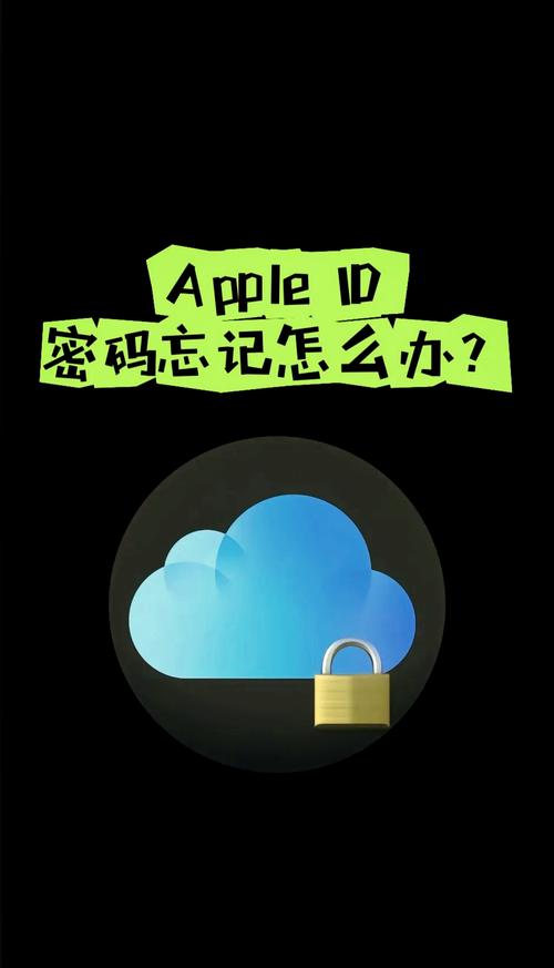 ad码忘记了如何设置新密码