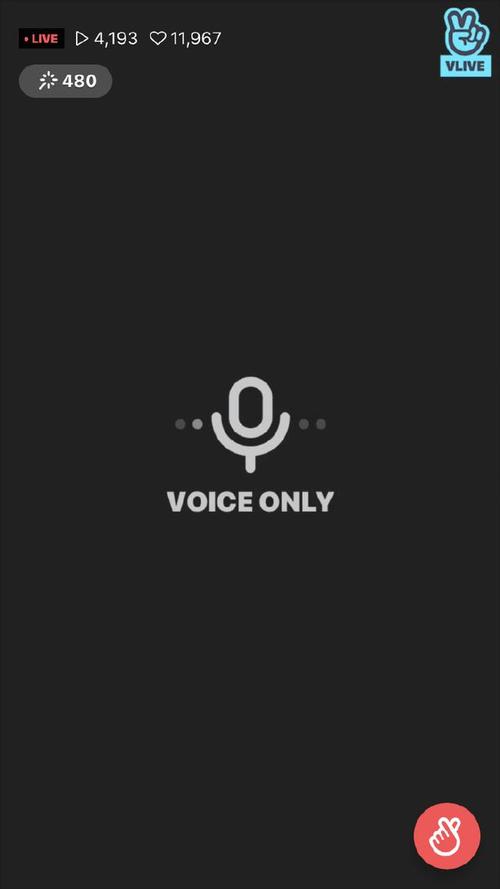 手机VOICE是什么