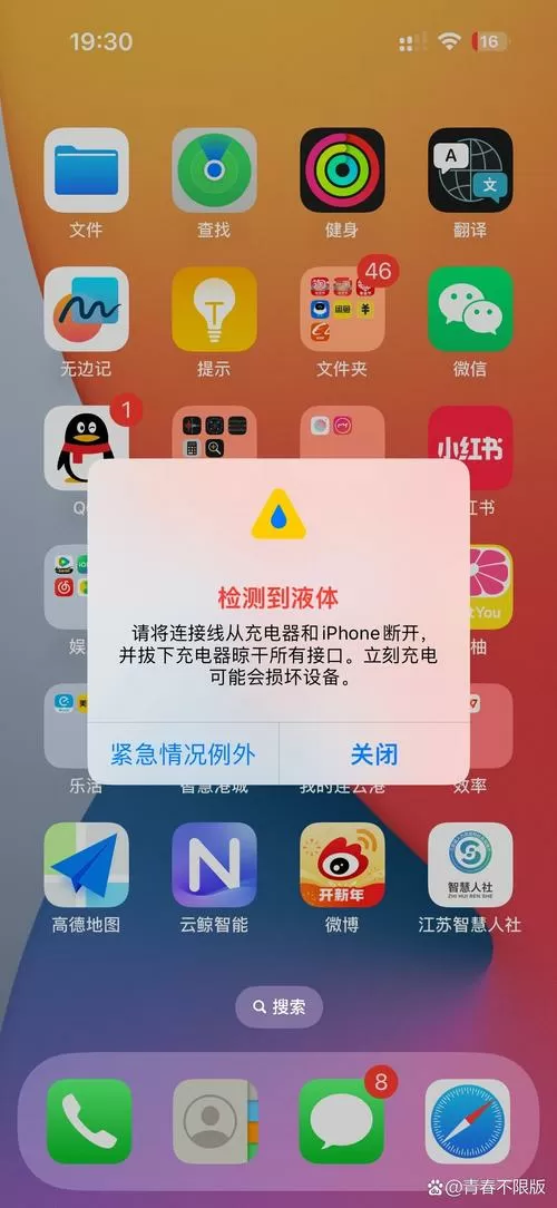 苹果有充电图标却充不进