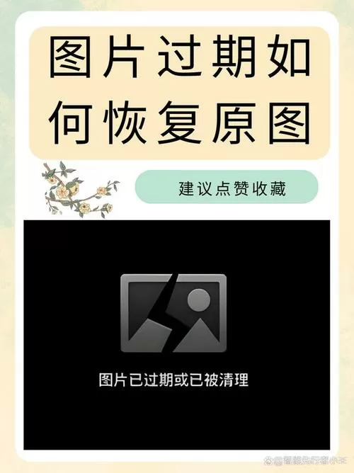 手机上的视频过期了怎么恢复