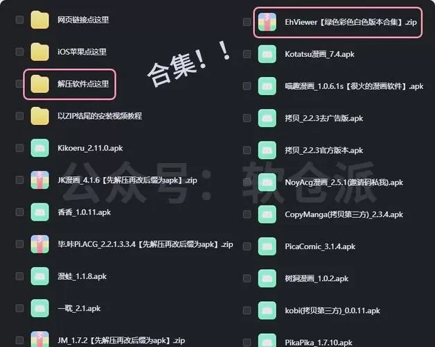 EhViewer黑色正版安装