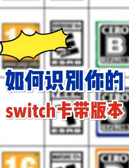 switch如何看版本