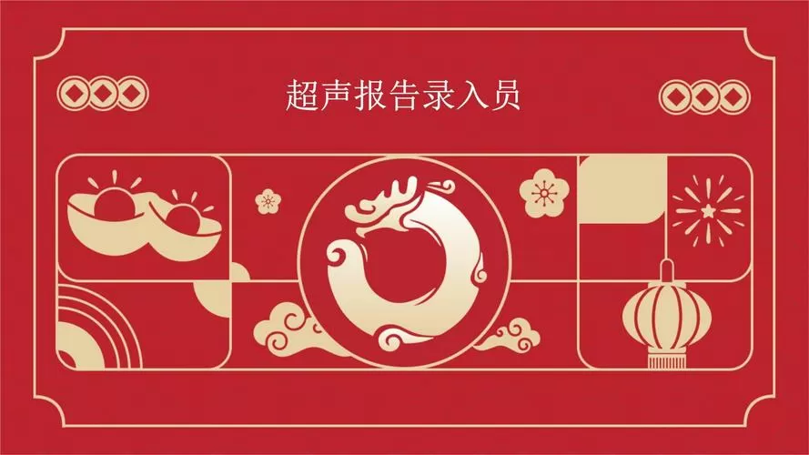 彩超录入员模板