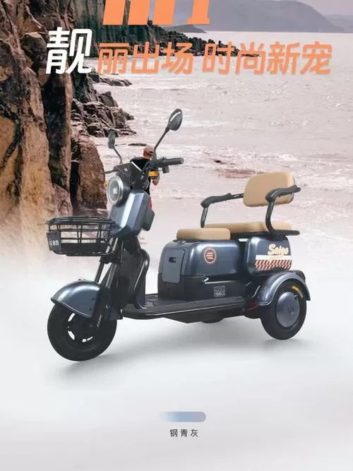 赛鸽三轮车价格