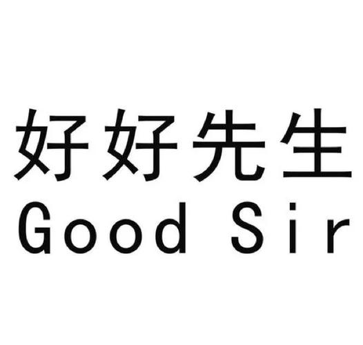 好先生原著