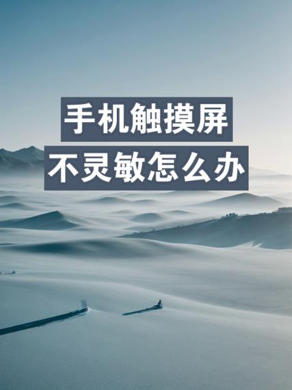 新手机触摸屏不太灵敏怎么回事