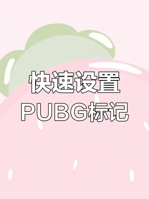 吃鸡快速标点怎么设置