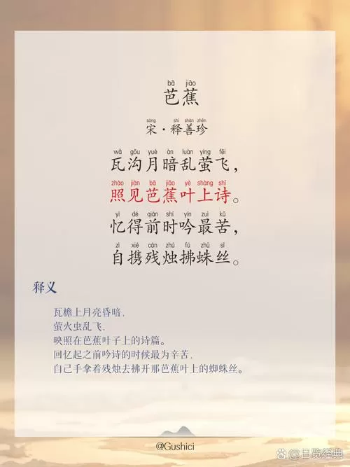 芭蕉阅读短文及答案