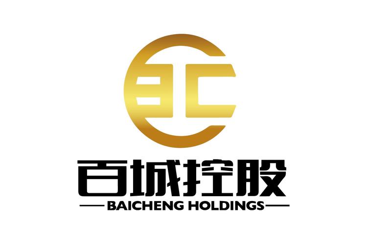百城置业集团简介